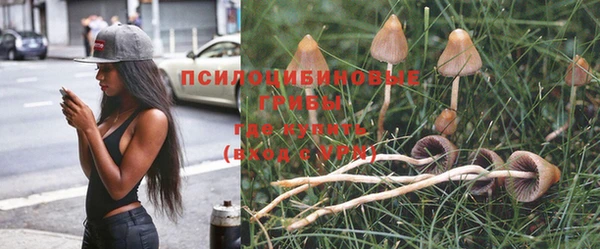 mix Анива