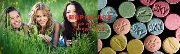 mix Анива