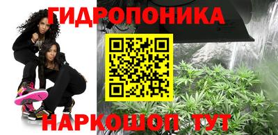эйфоретик Камышлов