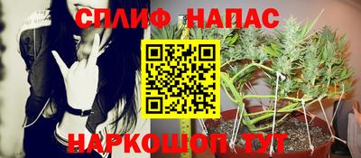 эйфоретик Камышлов