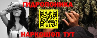 PSILOCYBIN Канаш