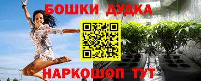 эйфоретик Камышлов