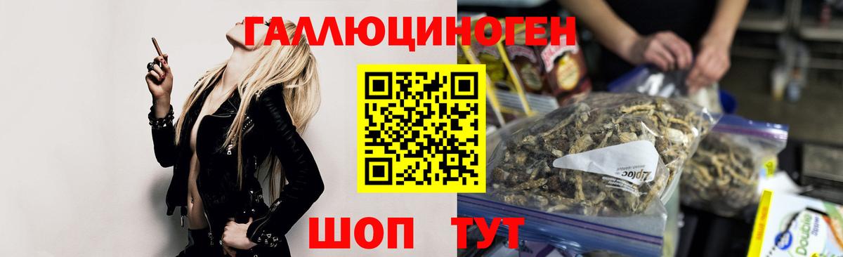 Псилоцибиновые грибы Psilocybe  Псилоцибиновые грибы Psilocybe  Тюмень 